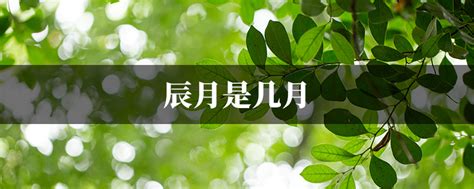 辰月是几月|辰月是几月份